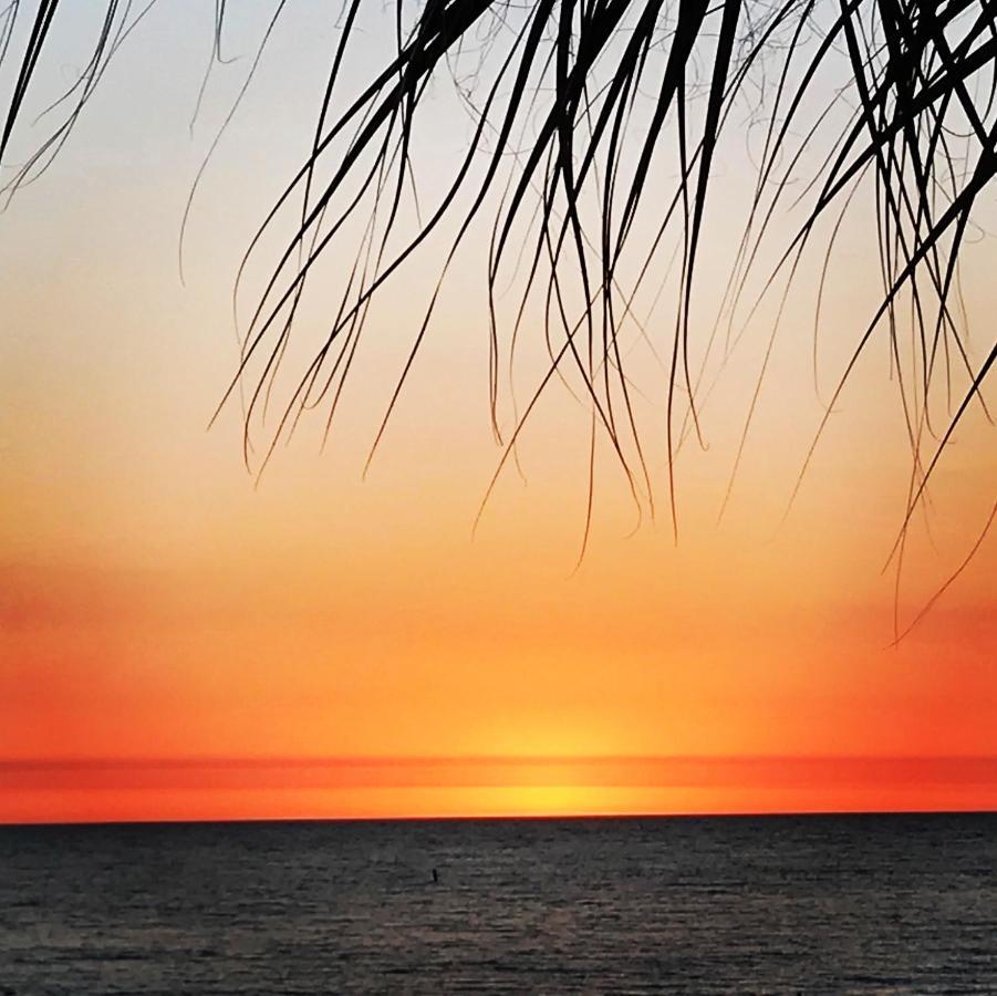201 Sandy Shores Condos St. Pete Beach Dış mekan fotoğraf